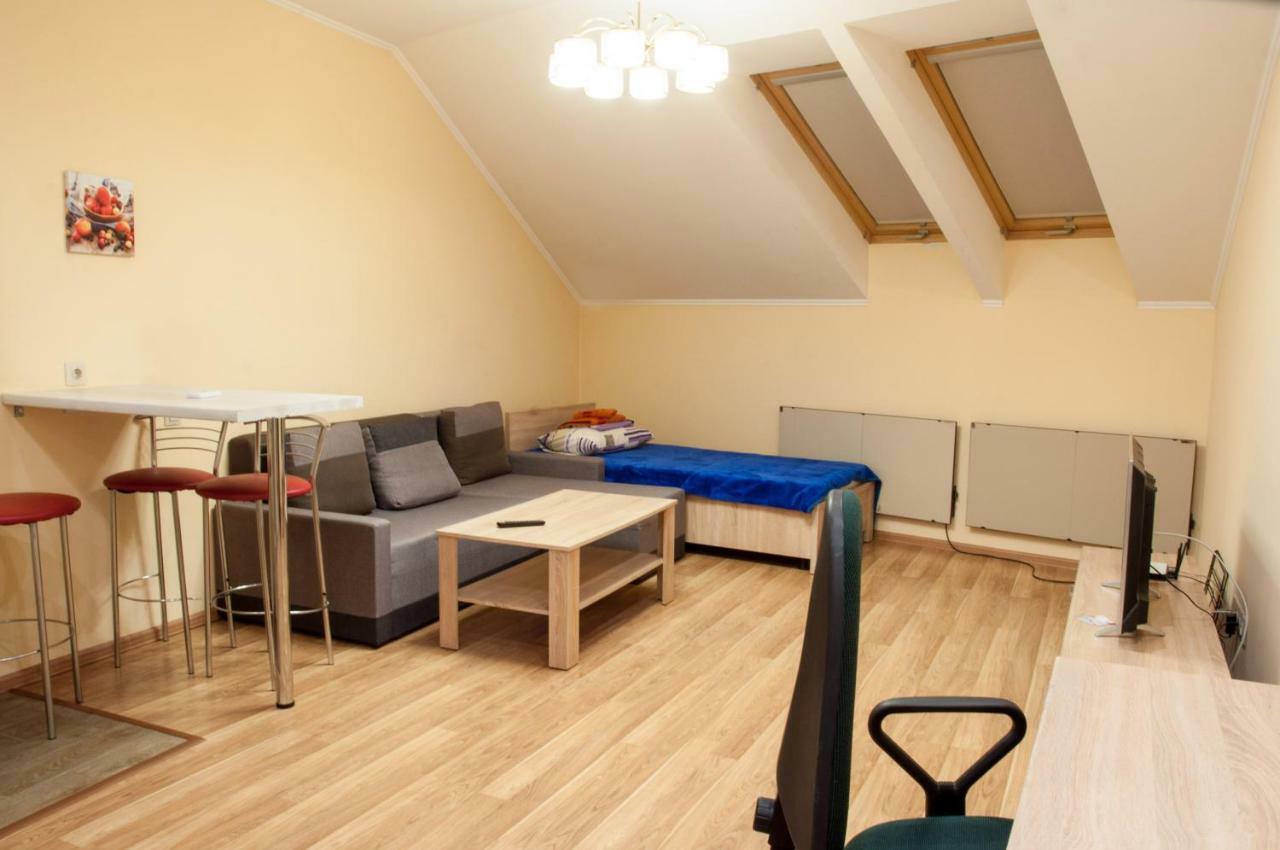 Wonderful flat on city center  Uzjhorod Exteriör bild